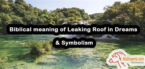 biblical dream meaning leaking roof|Exploring the Biblical Meaning of Roofs in Dreams